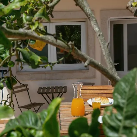 Garden * אובידוס